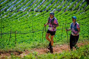 BIB: 
                            <button type="button" onclick="openModal(19164435)" class="btn btn-primary btn-sm float-right btn-popup" data-toggle="modal" data-target=".modal-high-quality">
                        <i class="fas fa-shopping-cart"></i> Add to Cart
                    </button>
                                            <button type="button" onclick="isThisMe(19164435, true)" class="btn btn-success btn-sm float-right btn-popup btn-isme hidden" data-toggle="tooltip" data-placement="bottom" title="นี่คือรูปของคุณใช่ไหม คลิกที่นี่เพื่อเอาเข้าอัลบั้ม">
                        <i class="fas fa-plus"></i> Add to album
                    </button>
                    <button type="button" onclick="isThisMe(19164435, false)" class="btn btn-warning btn-sm float-right btn-popup btn-isnotme hidden">
                        <i class="fas fa-ban"></i> Remove from album
                    </button>